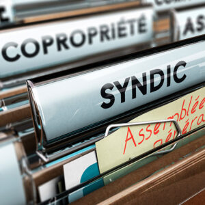 Resolve problems with coprops and syndics