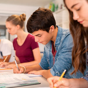 Help find schools for your children or French classes for you and help you communicate with teachers